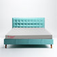 Magenta Flawless 5” - 4" HR + 1" Memory foam