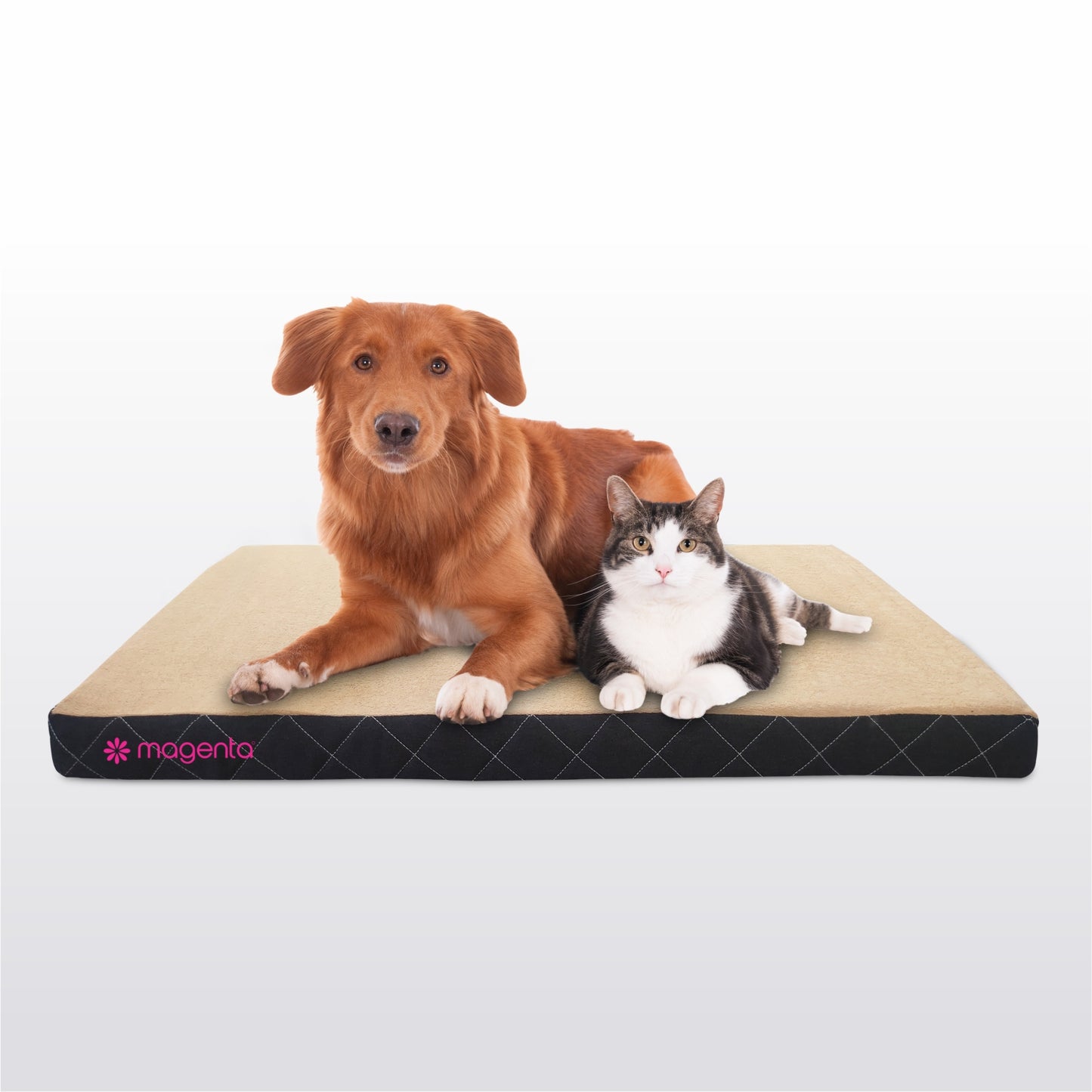 Pet Mattress
