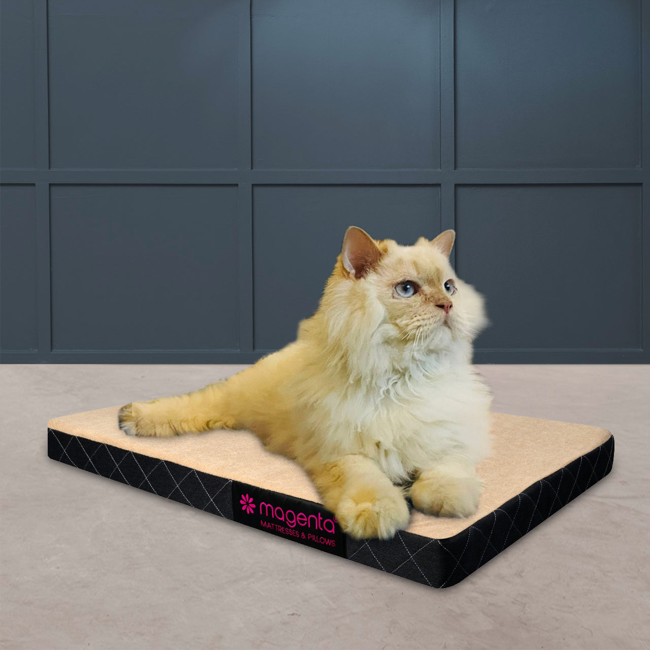 Pet Mattress