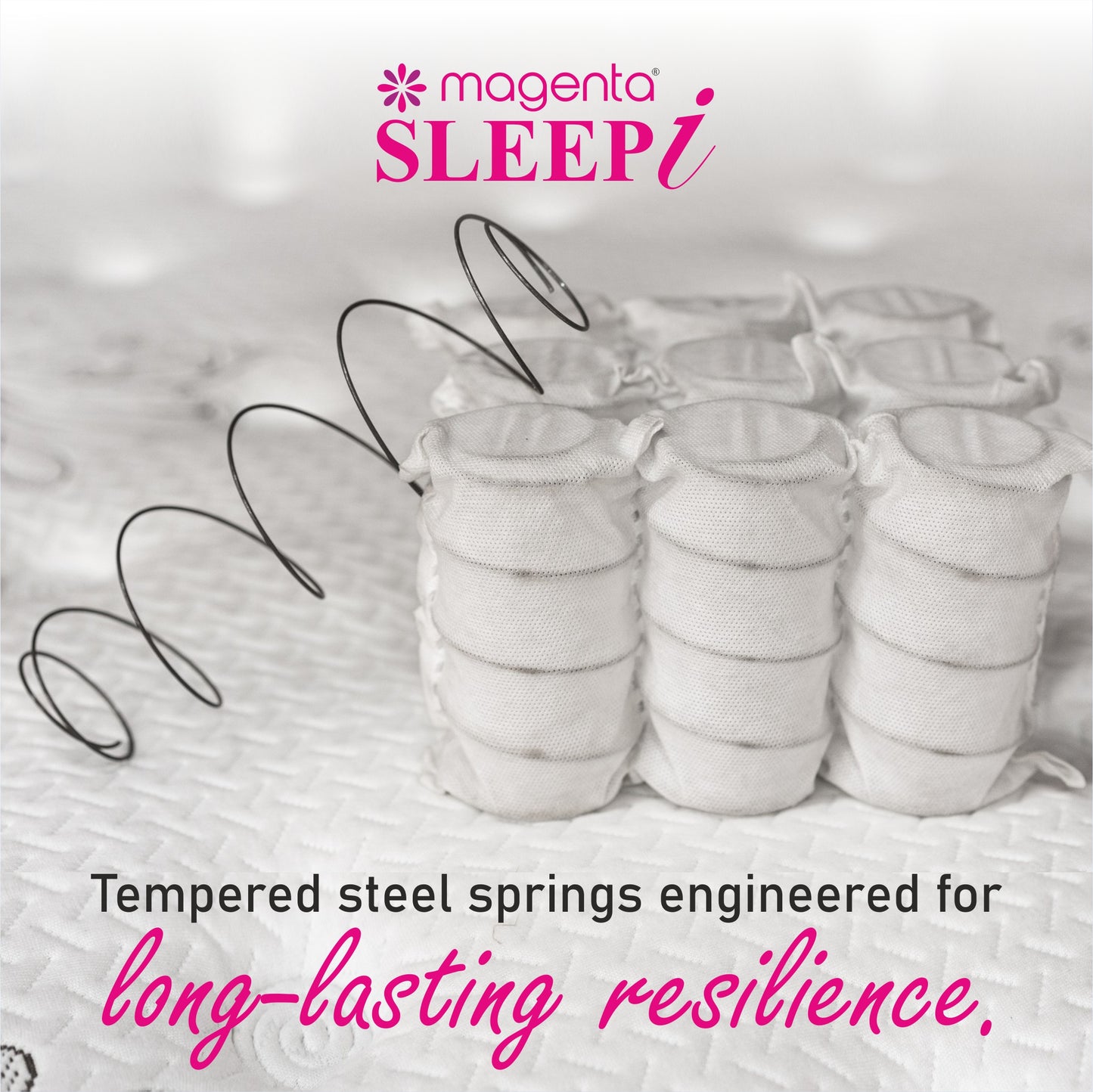 Magenta Sleep i 8” - Pocket Spring + Latex Foam  Hybrid Quilt